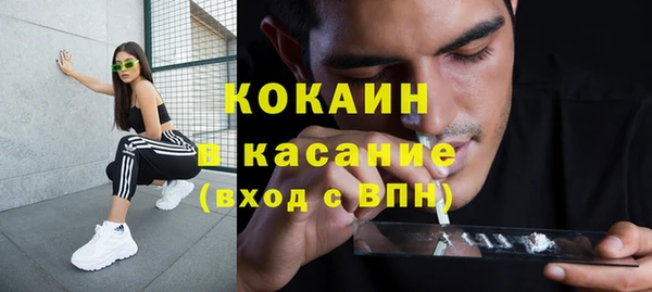 шишки Горно-Алтайск