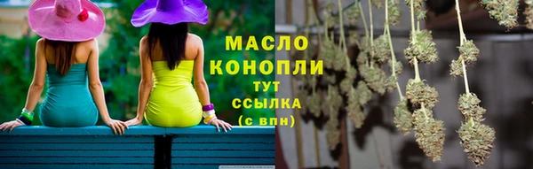 шишки Горно-Алтайск