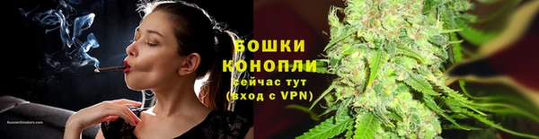 шишки Горно-Алтайск