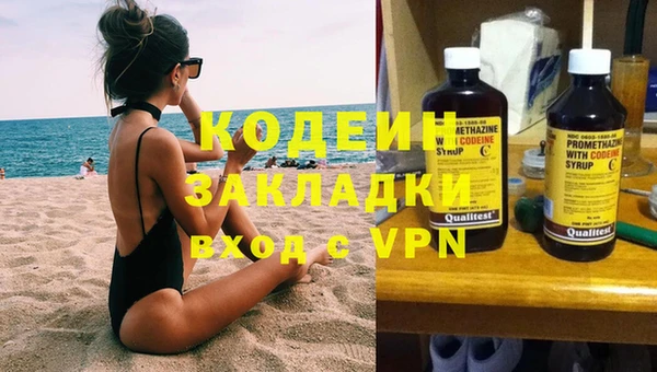 шишки Горно-Алтайск