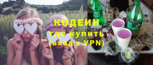 шишки Горно-Алтайск