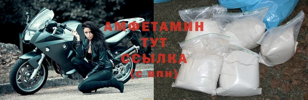 шишки Горно-Алтайск