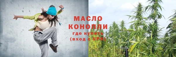шишки Горно-Алтайск