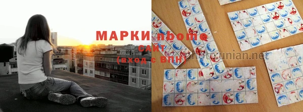 шишки Горно-Алтайск