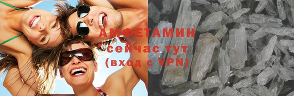шишки Горно-Алтайск