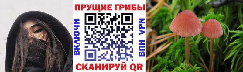 Галлюциногенные грибы ЛСД  Горячий Ключ 