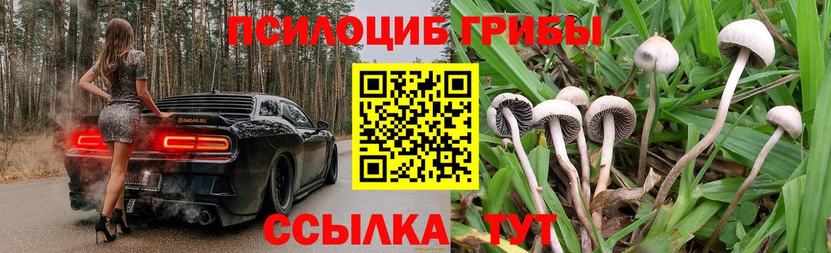 Галлюциногенные грибы Psilocybine cubensis  Вход с VPN  Горячий Ключ  Галлюциногенные грибы мицелий 