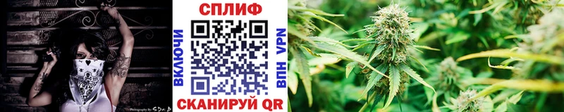 Шишки марихуана White Widow  Горячий Ключ 
